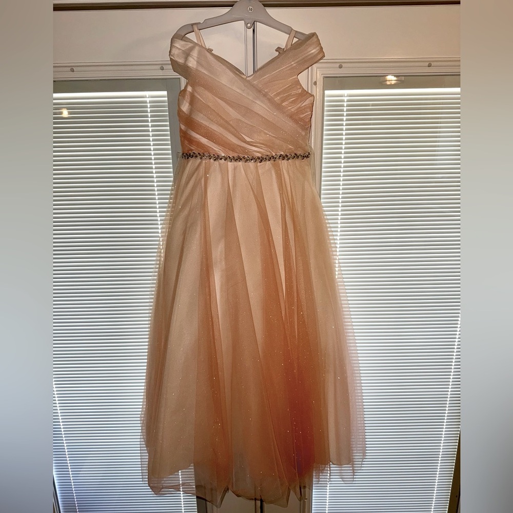 Elegant ivory Tulle Dress